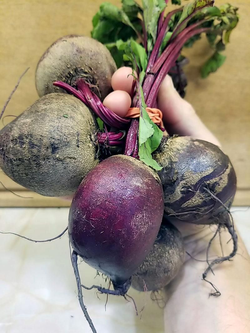 a bundle of beets