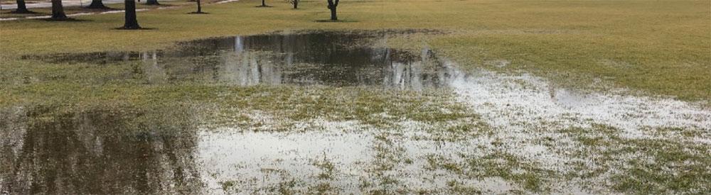 Water ponding on campus green